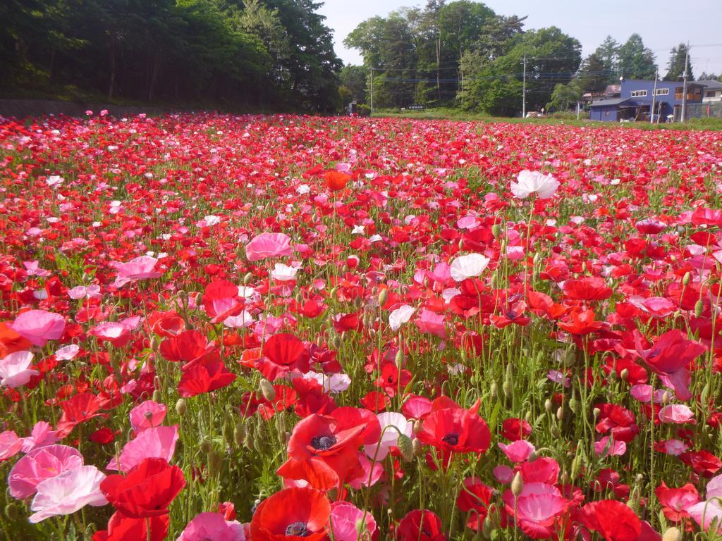 Yumoto Rakuzenso Numata (Gunma) Ngoại thất bức ảnh